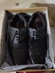 Sole Perk Loafer