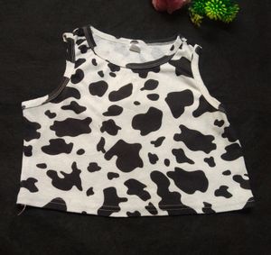 🥳Flate Sell 🥳Shein Cow Print Crop Top