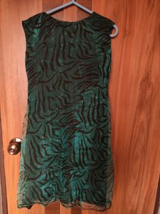 Green And Black Embroidered Sleeveless Dress