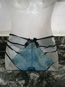 Sheer Lace Panties
