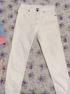 Pure Cotton Pant For Women