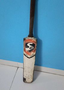 Bat of sg max cover
