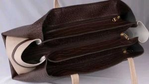 🔥 Carrylux  brand new lethargy bag 🛍️