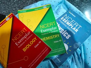 Ncert Exemplar Class 12th