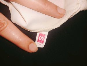 Combo Of 2 Ice Silk Seamless Panty