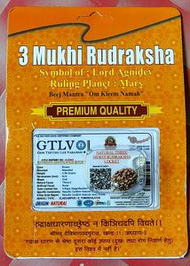 3 Mukhi Rudraksha Locket