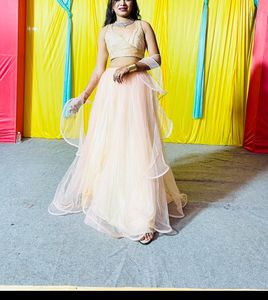 Bollywood Style Crop Top Choli