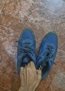 Blue Marathon Running Shoes