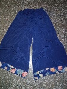 Multi Colour Plazzo Suit