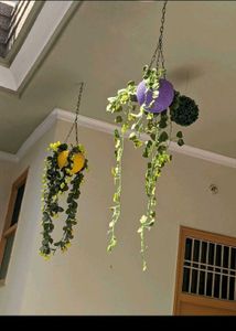 Balcony Hanging Planters/Basket for indoor/outdoor