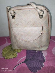 Spacious And Beautiful Handbag