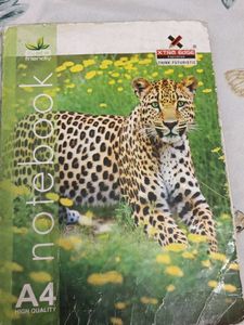 Ncert Biology Notes Class 12