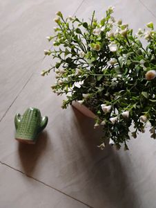 Cute Little Clay Cactus