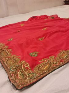 Rani Pnik Embroidered Saree