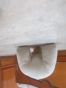 White Colour Teddy Bear