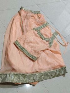Peach Net Lehenga Skirt