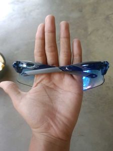 Cricket Sunglasses
