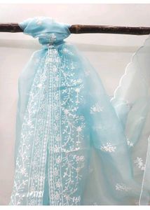 Elegant organza dress material