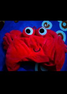 Cute Soft Toy Cap For Everyone