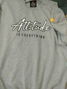 Gray Unisex Oversized Sweatshirt ✨