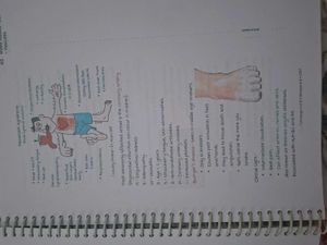 Marrow Systemic Pathology Vol. 2