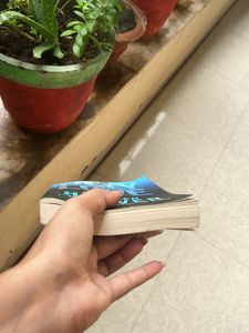 Ugly love Book