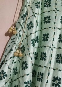 Green Lehenga Choli
