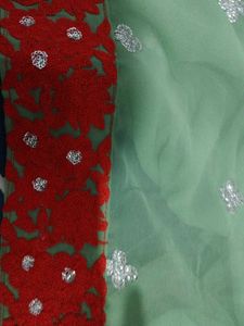 Green seqince Saree