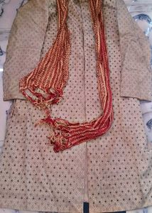 Men Sherwani Festive Wear