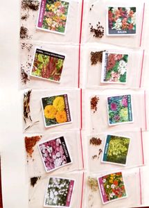 Real Flowers Seed