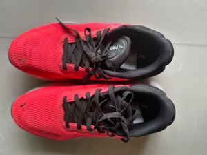 Puma Neon Pink Sport Shoes