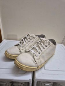 Locomotive Sneakers.