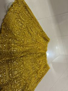 Gorgeous Gold Embroidered Skirt