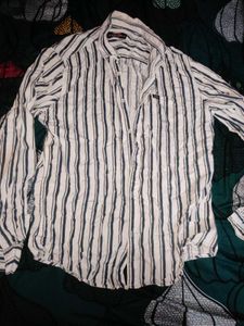 Branded New Striped Shirts
