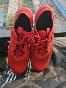 Puma Men Better Foam Emerge 3D Running Shoe