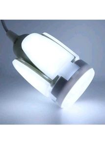 Colorful LED Ceiling Light