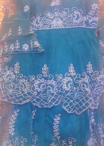 Elegant Blue Embroidered Dress