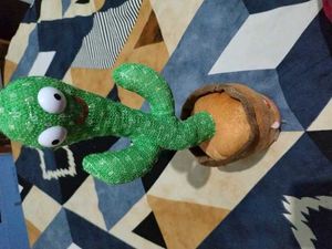 Dancing Cactus Toy