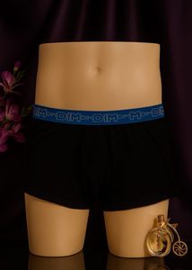 DIM Men's Briefs
