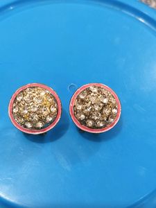 Earings