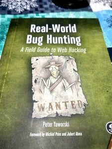 Real-World Bug Hunting