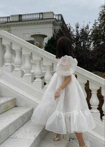 Dress Material Frock One Piece Organza Fabric