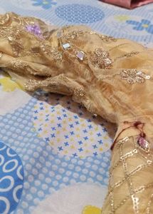 Elegant Pakistani Salwar Kameez