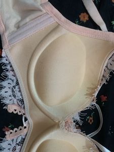 New Pus-up Bra