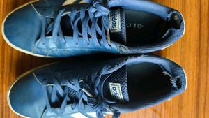 Adidas Shoes