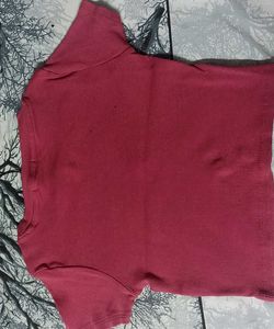 Michigan Panther Cropped Ribbed Tee