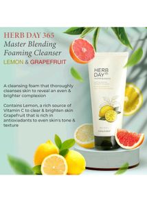 The Face Shop Herb Day FaceWash