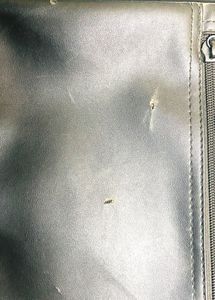 HP Laptop Bag Original