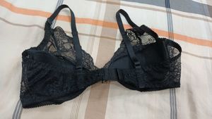 Padded Bra 36D