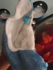 Blue Bunny Hat